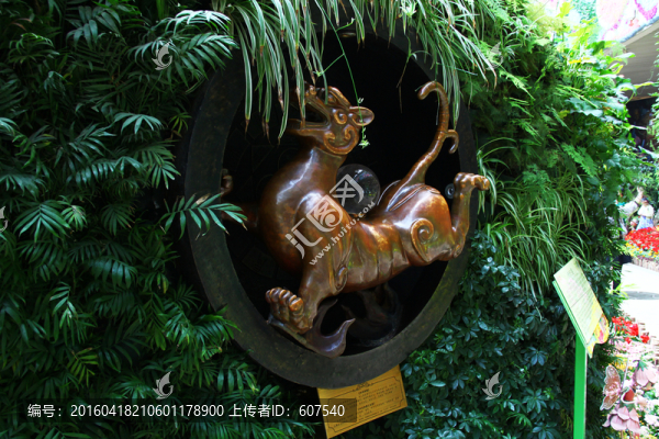 玄武,白虎,青龍,玄武湖,四象