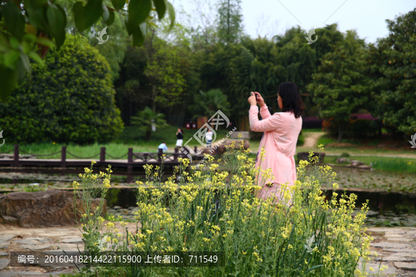 春天公園手機(jī)拍照