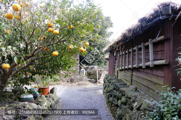 民旅村