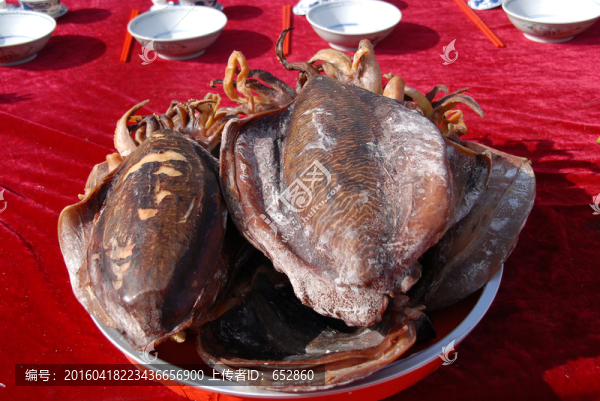 魷魚,干貨,海產(chǎn)