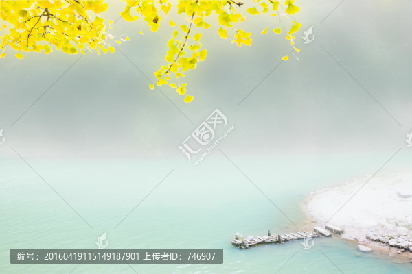 銀杏秋天
