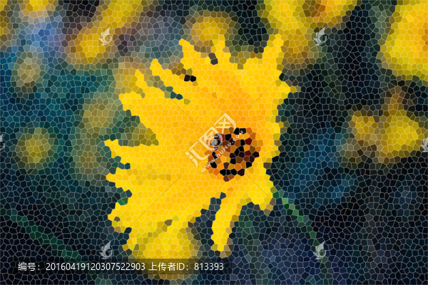 玻璃紋理蘭花