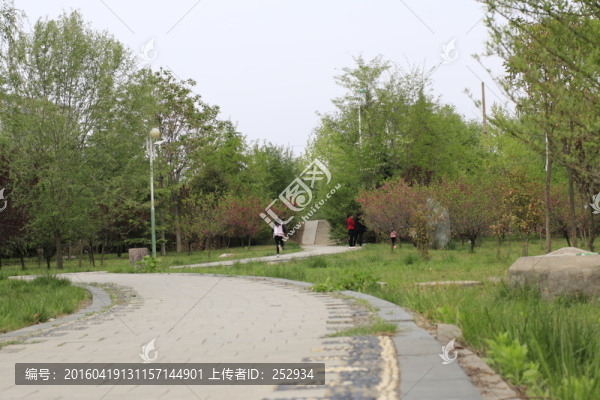 石板路