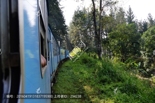 斯里蘭卡高山茶園火車(chē)