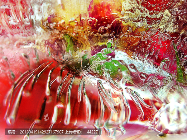冰花,冰凍花,冰玫瑰