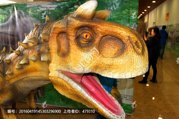 恐龍,遠(yuǎn)古動物,皮膚,局部