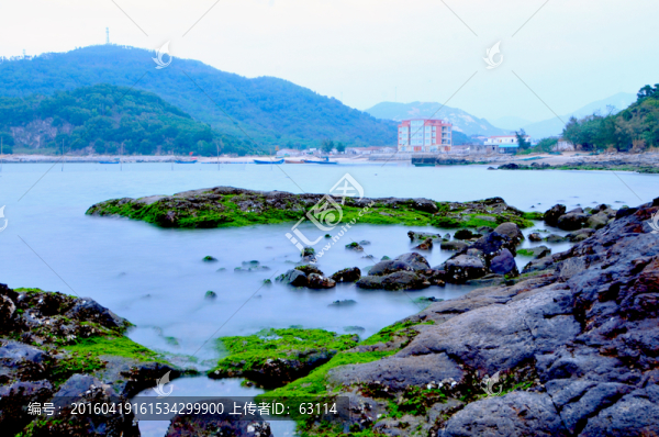 海邊礁石,綠色,綠藻,大海