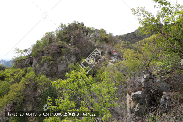鷲峰森林公園