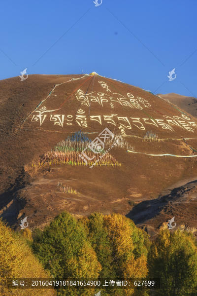 新都橋風(fēng)光