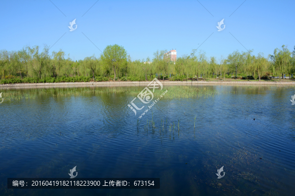 湖