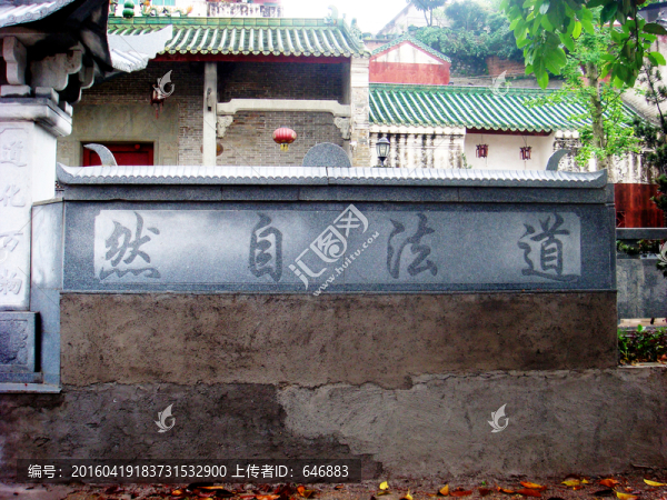 道法自然,道家