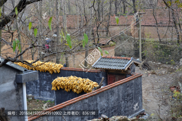 小院