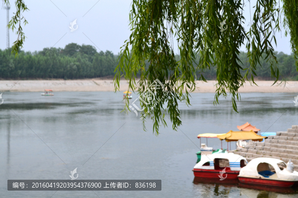 湖水垂柳