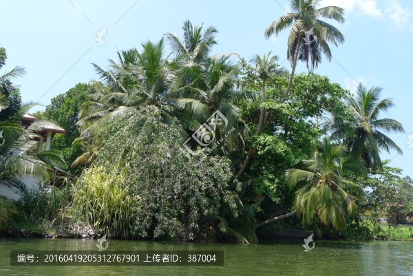 斯里蘭卡風(fēng)光