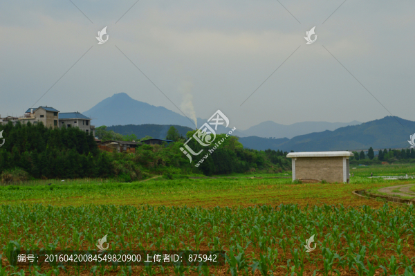 田園風(fēng)光