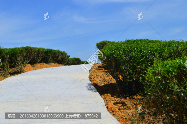 小路