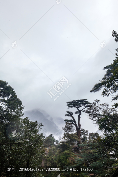 湖南莽山將軍寨（鬼子寨）