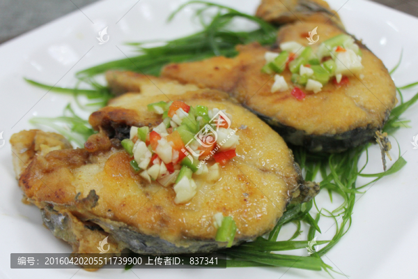 鱘魚(yú)-匯圖網(wǎng) www.fosd68.com 鱘魚(yú)