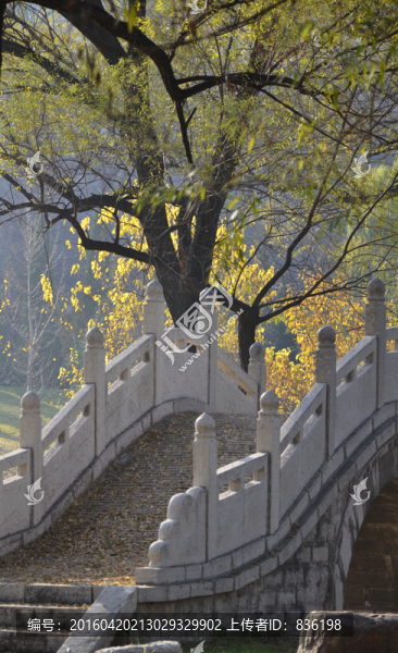 石橋秋景