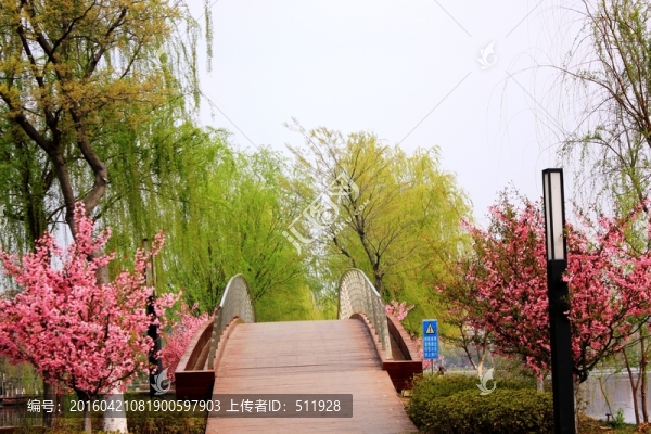 南京龍池湖風(fēng)光