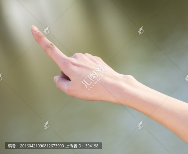 美女的手臂