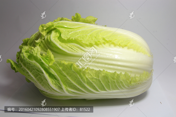 大白菜