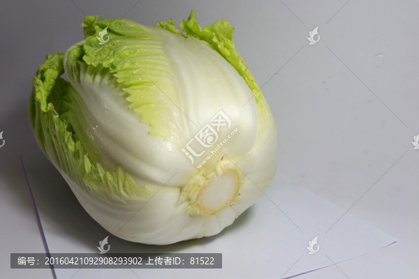 大白菜