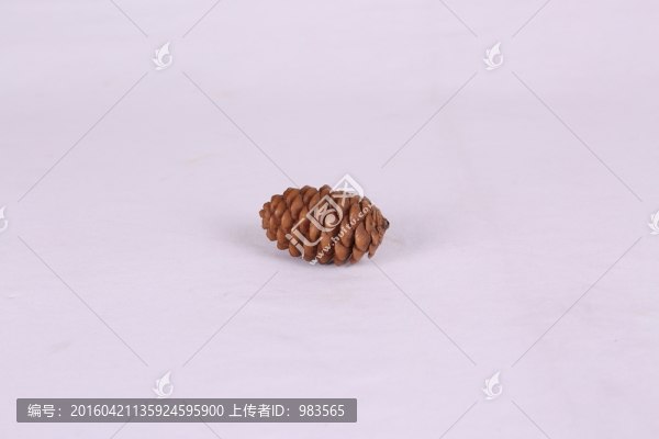 松果