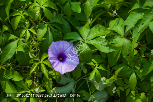 牽?；? title=