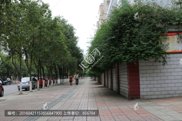 街景