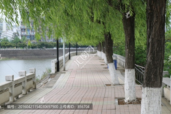 河堤