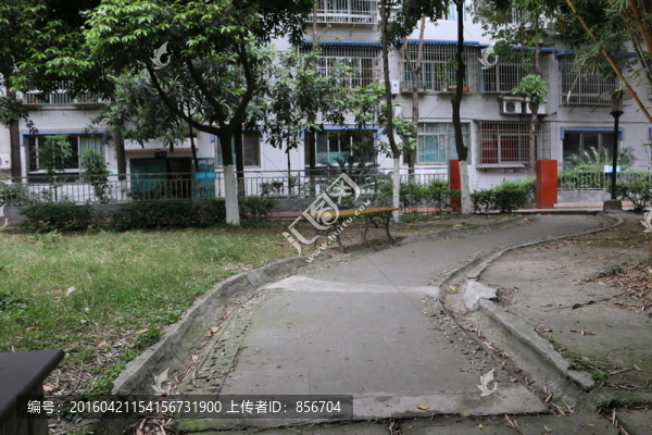 回家的路