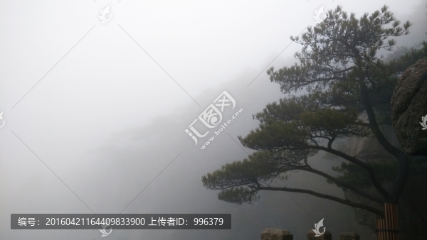 安徽黃山水墨霧景