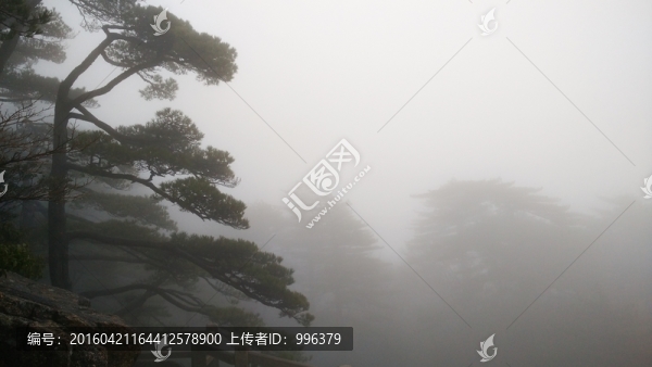 安徽黃山水墨霧景