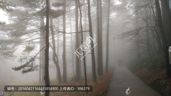 安徽黃山水墨霧景