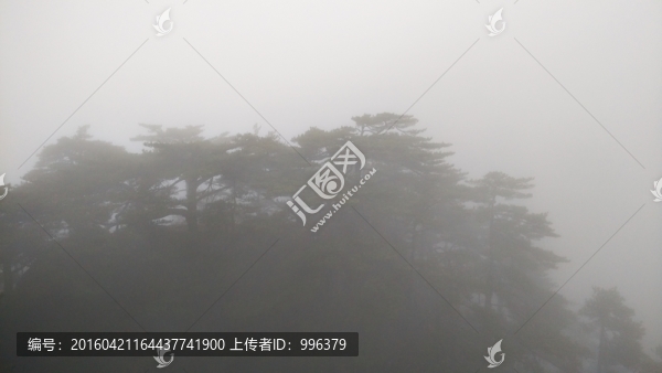 安徽黃山水墨霧景