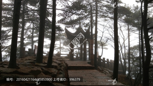 安徽黃山水墨霧景