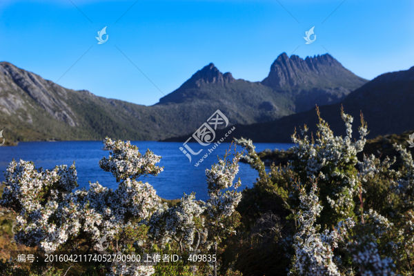 搖籃山鴿子湖