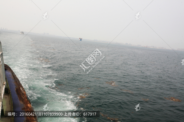 海面,垃圾,大海