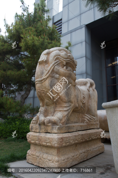 石獅,西安,唐苑