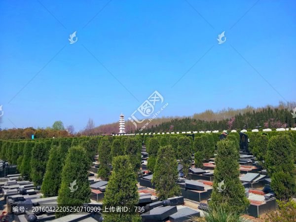 陵園