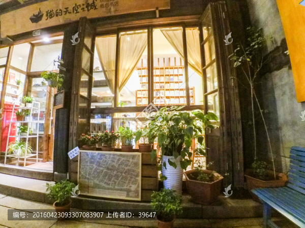 植物櫥窗