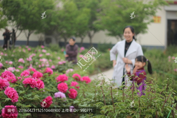 賞花的母女