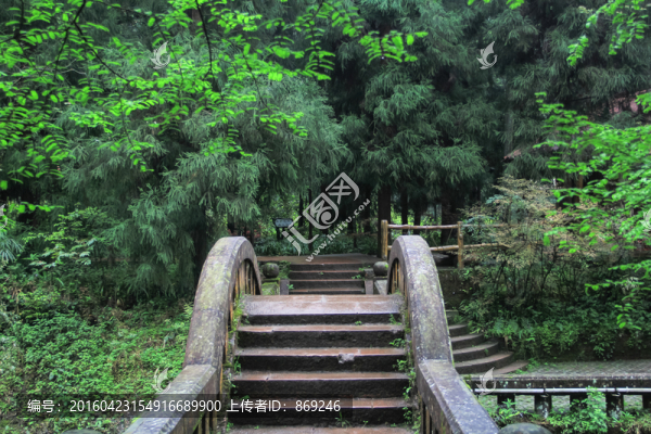 拱橋
