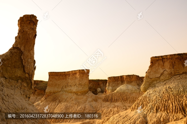 大同土林