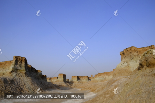 大同土林