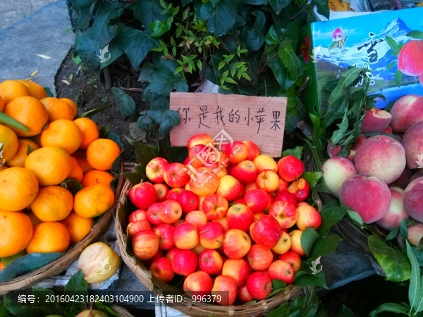 云南麗江