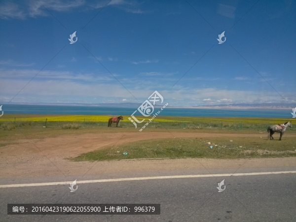 青海青海湖