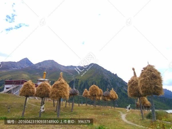 西藏然烏湖然烏鎮(zhèn)