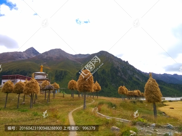 西藏然烏湖然烏鎮(zhèn)